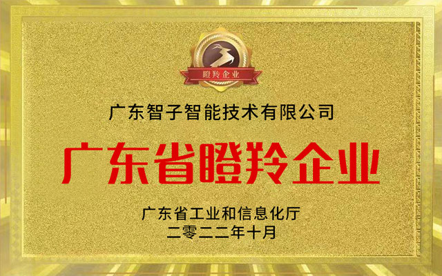 廣東省瞪羚企業(yè)